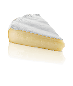 Brie Brie Cheese Cupid Eat Wisconsin Cheese