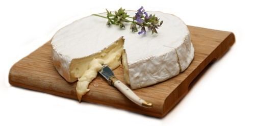 Brie Brie Cheese igourmet