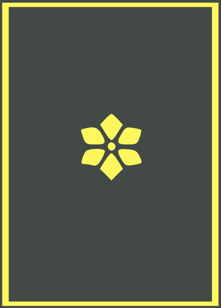 Brigade general