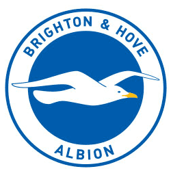 Brighton & Hove Albion F.C. httpslh6googleusercontentcomH0zbJvKdX4AAAA