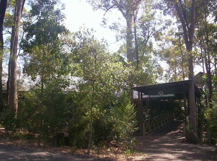 Brisbane Forest Park httpsuploadwikimediaorgwikipediacommonsthu