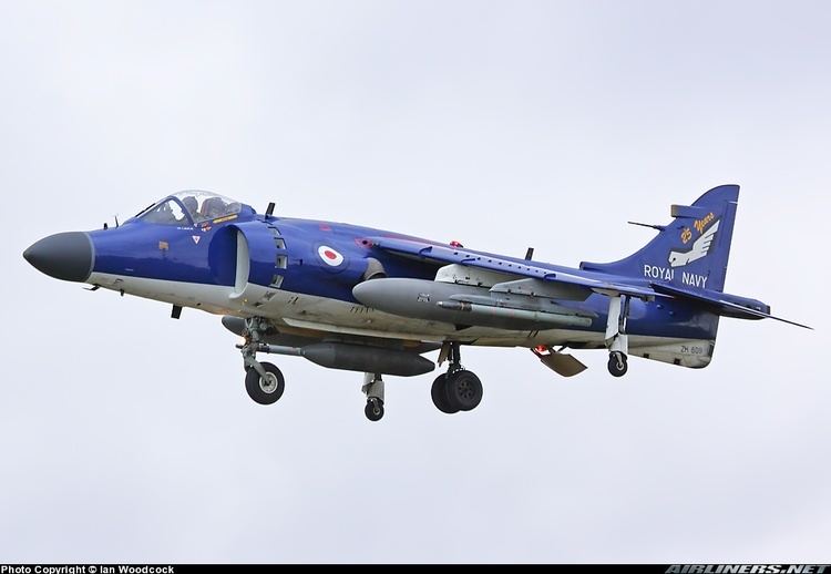 British Aerospace Sea Harrier Hawker Hawker Siddeley BAe Fighter Jets in Action qzon