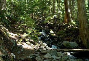 British Columbia Mainland Coastal Forests (WWF ecoregion) httpsuploadwikimediaorgwikipediacommonsthu