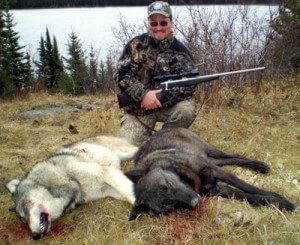 British Columbia wolf British Columbia Wolf Hunts Fredlund Guide Service