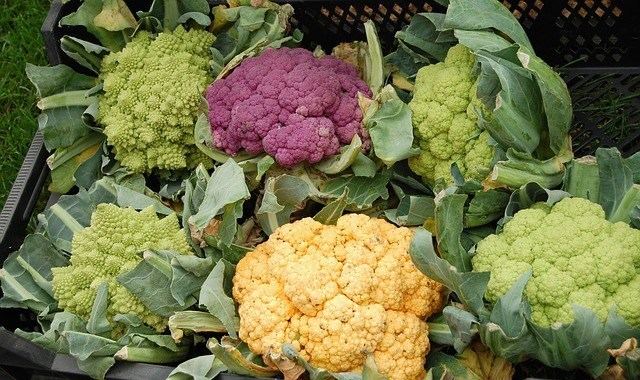 Broccoflower Branch out from Broccoli How to Grow Broccoflower and Romanesco