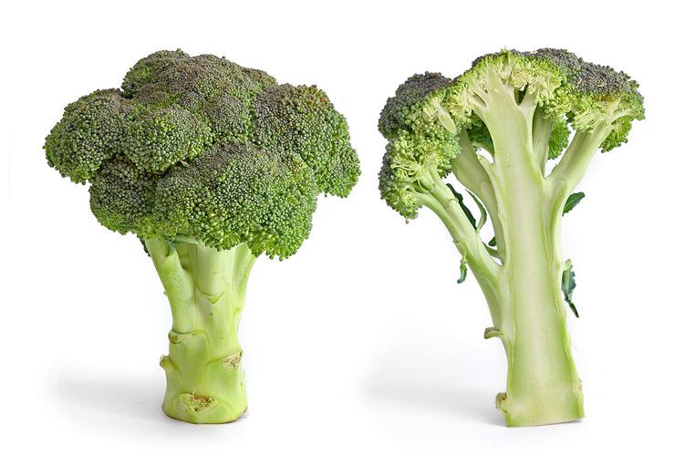 Broccoli Broccoli Wikipedia