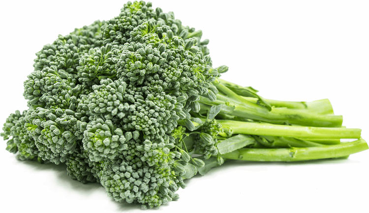 Broccolini wwwspecialtyproducecomsppics444png