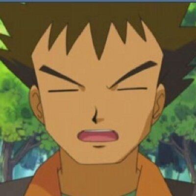 Brock (Pokémon) Brock Pokemon brockpokemon Twitter