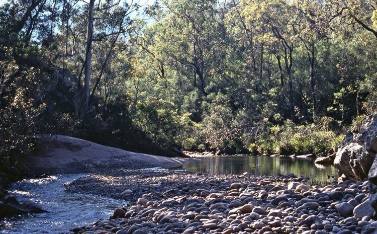 Brogo River membersozemailcomaudnobleBushwalkingBemboka