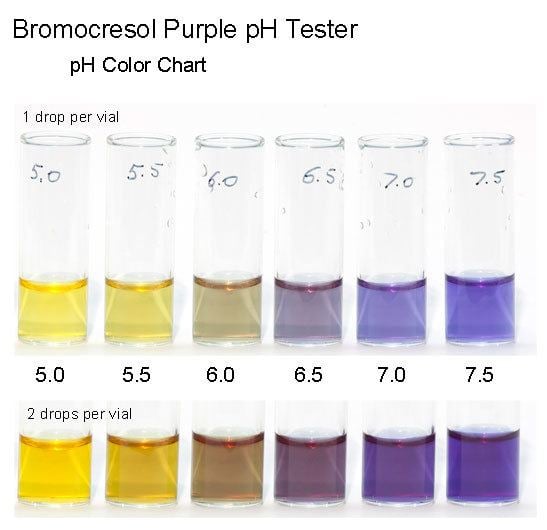Bromocresol purple Bromocresol Purple pH Tester
