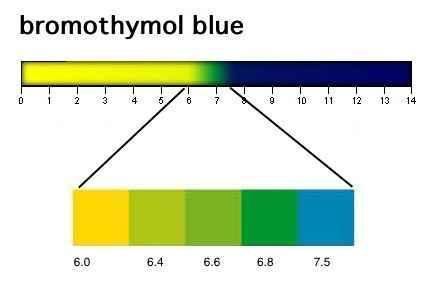 Bromothymol blue scale