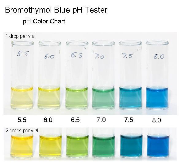 Bromothymol blue lab answers. Bromthymol blue 