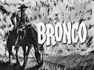 Bronco (TV series) 1000 images about ty hardin on Pinterest 1911 holster Pictures