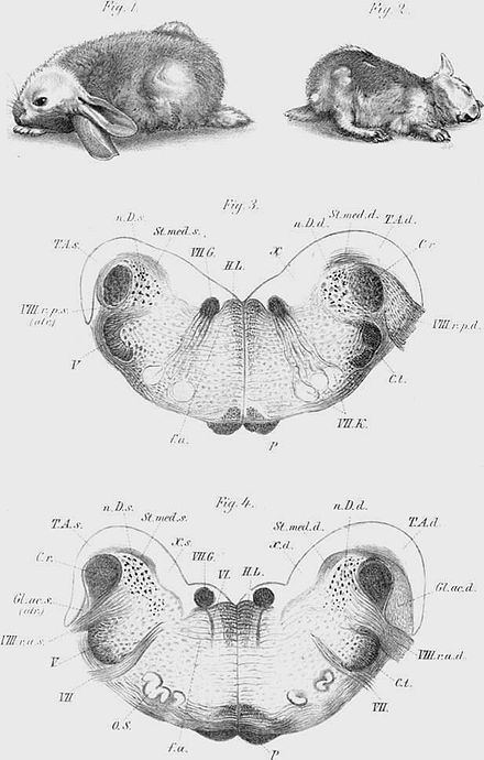 Bronislaw Onuf-Onufrowicz Bronislaw OnufOnufrowicz Wikiwand