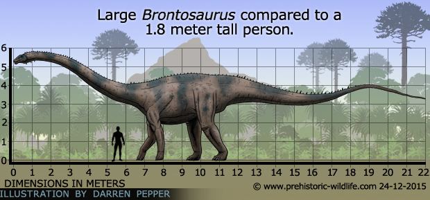Brontosaurus Brontosaurus