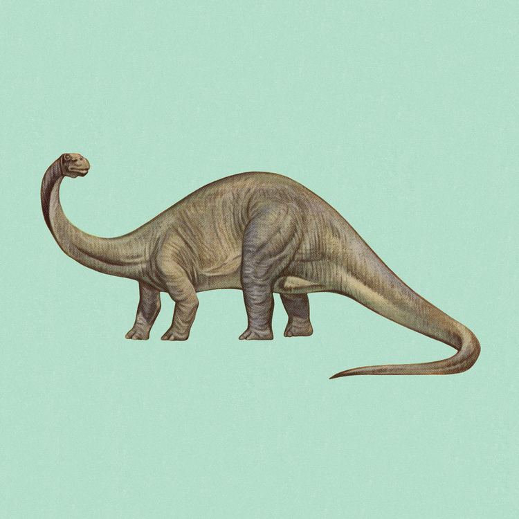 Brontosaurus httpswwwwiredcomwpcontentuploads2015041