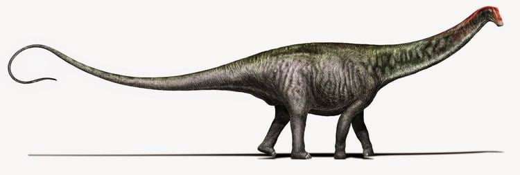 Brontosaurus Scientists resurrect the Brontosaurus name with a bit of bone magic