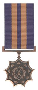 Bronze Medal for Merit