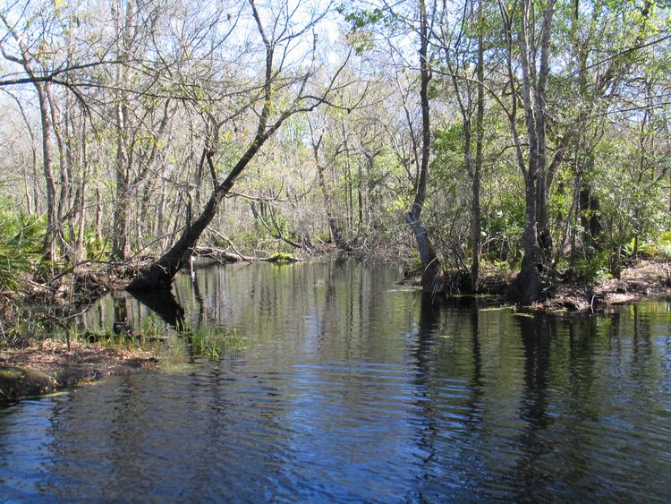 Brooker Creek Preserve Pinellas County Florida Communications Photo Library Brooker