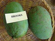 Brooks (mango) httpsuploadwikimediaorgwikipediacommonsthu
