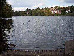 Brookvale Park Lake httpsuploadwikimediaorgwikipediaenthumb7