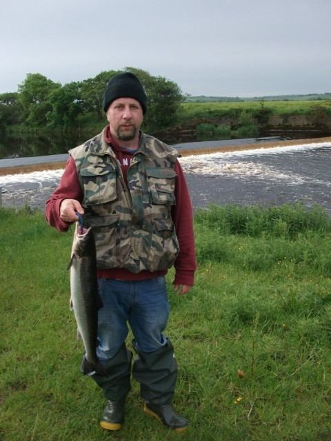 Brosna, County Kerry Irish Angling Update Good water on the Feale plent fishing but