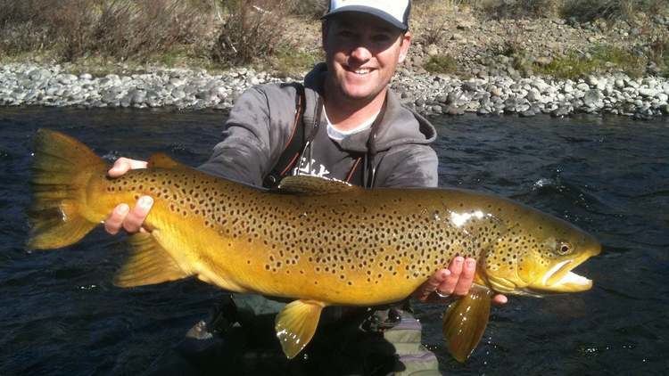 Brown trout Matt Heron Reels in a Gigantic Brown Trout on Vimeo