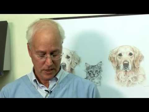 Bruce Fogle Bruce Fogle gives cat owners expert tips on how to avoid