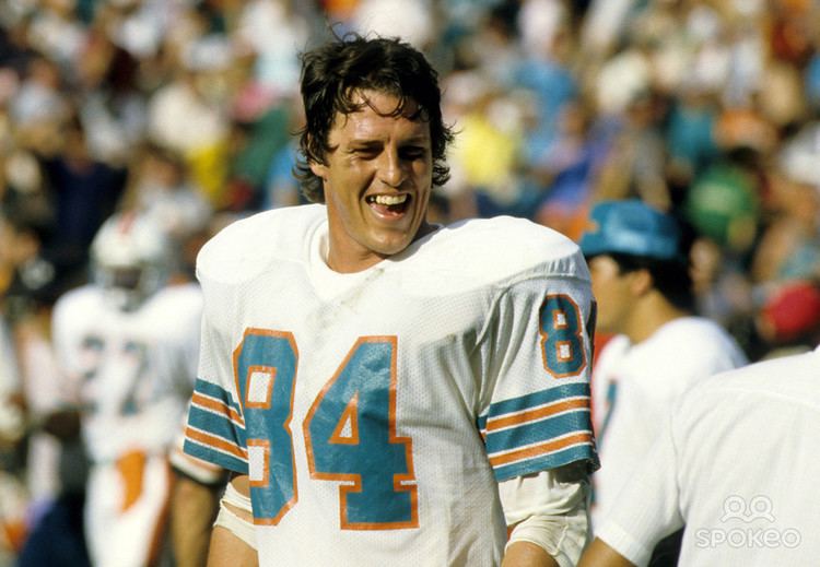 Bruce Hardy Bruce Hardy Miami Dolphins Tightend career stats on Sportometry