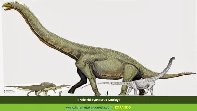 Bruhathkayosaurus and other dinosaurs