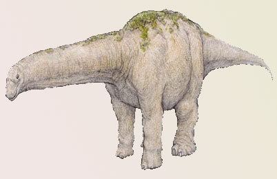 Bruhathkayosaurus