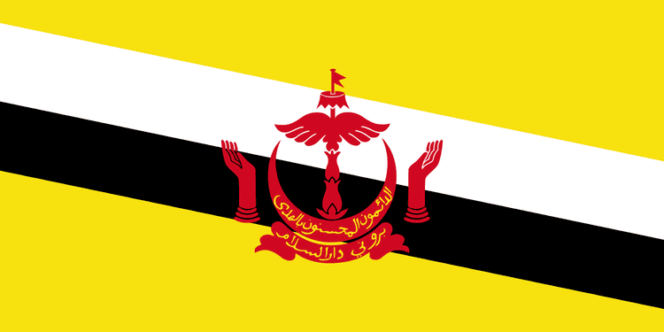 Brunei at the 2011 World Championships in Athletics