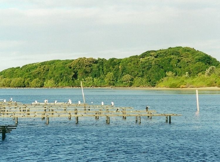 Brunswick Heads Nature Reserve