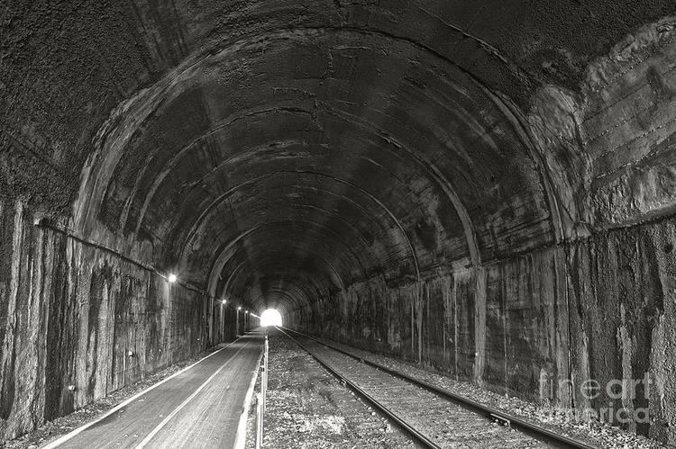 Brush Tunnel imagesfineartamericacomimagesartworkimagesmed