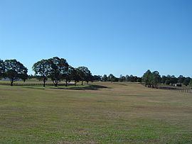 Buccan, Queensland httpsuploadwikimediaorgwikipediacommonsthu