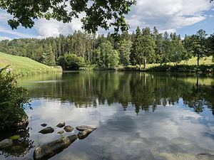 Buchsee (Bezirk Kufstein) httpsuploadwikimediaorgwikipediacommonsthu