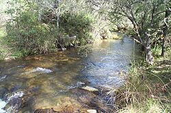 Buckland River (Victoria) httpsuploadwikimediaorgwikipediacommonsthu
