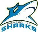 Bucks County Sharks httpsuploadwikimediaorgwikipediaen994Buc