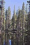 Bucks Lake Wilderness httpsuploadwikimediaorgwikipediacommonsthu