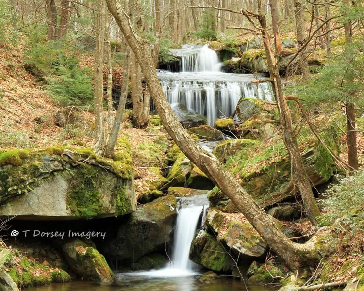 Bucktail Path Enjoying all that Nature Offers Rock Run Falls along the Bucktail Path