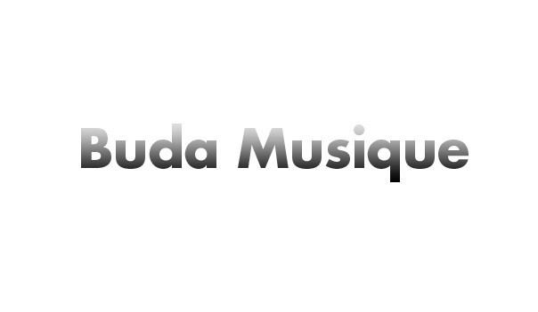 Buda Musique afrkncomwpcontentuploads201602buda604x351jpg