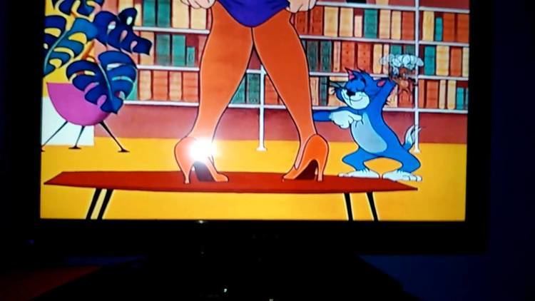 Buddies Thicker Than Water Tom and Jerry Fandubs Buddies Thicker Than Water YouTube