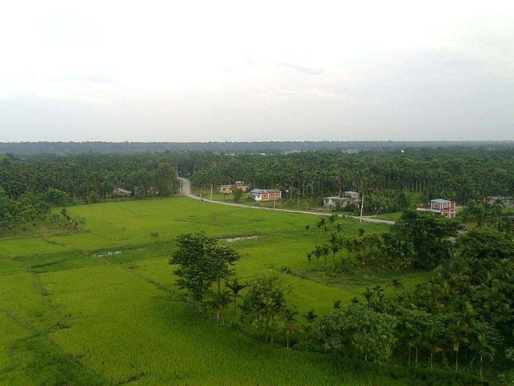 Budhabare, Mechi