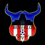 Buffalo City FC httpsuploadwikimediaorgwikipediaenthumb5