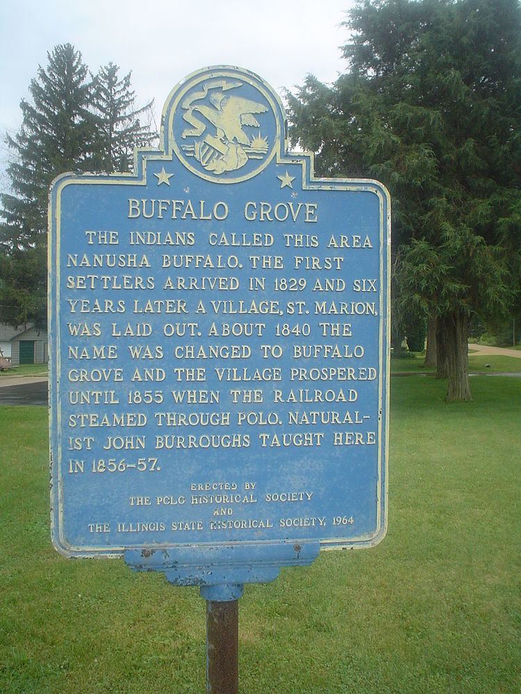 Buffalo Grove, Ogle County, Illinois