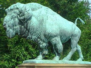Buffalo (Proctor) httpsuploadwikimediaorgwikipediacommonsthu