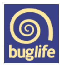 Buglife – The Invertebrate Conservation Trust httpswilddaysconservationorgwpcontentupload