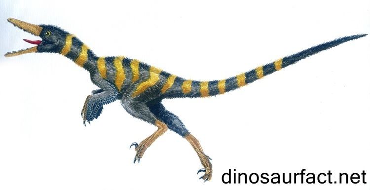 Buitreraptor Buitreraptor Gonzalezorum dinosaur