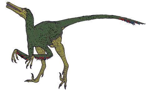 Buitreraptor Buitreraptor Dinosaur Facts information about the dinosaur