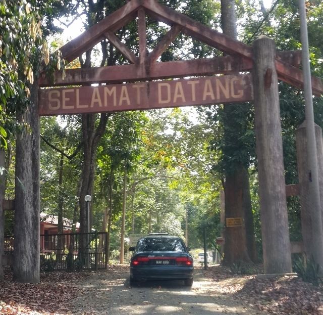 Bukit Batu Lebah Recreational Forest My Heart Soars Bukit Batu Lebah My First Hill in Melaka